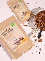 Organic Original Protein Granola 6-Single Serve Pouches