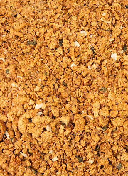 Organic Peanut Butter Protein Granola 6-Single Serve Pouches